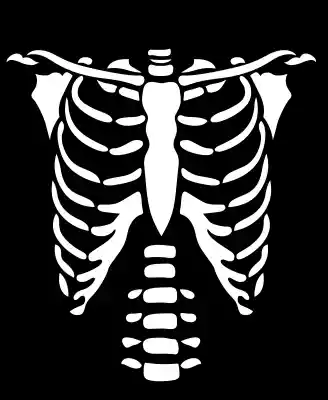 vectores plantilas DÍA DE MUERTOS,VECTOR,